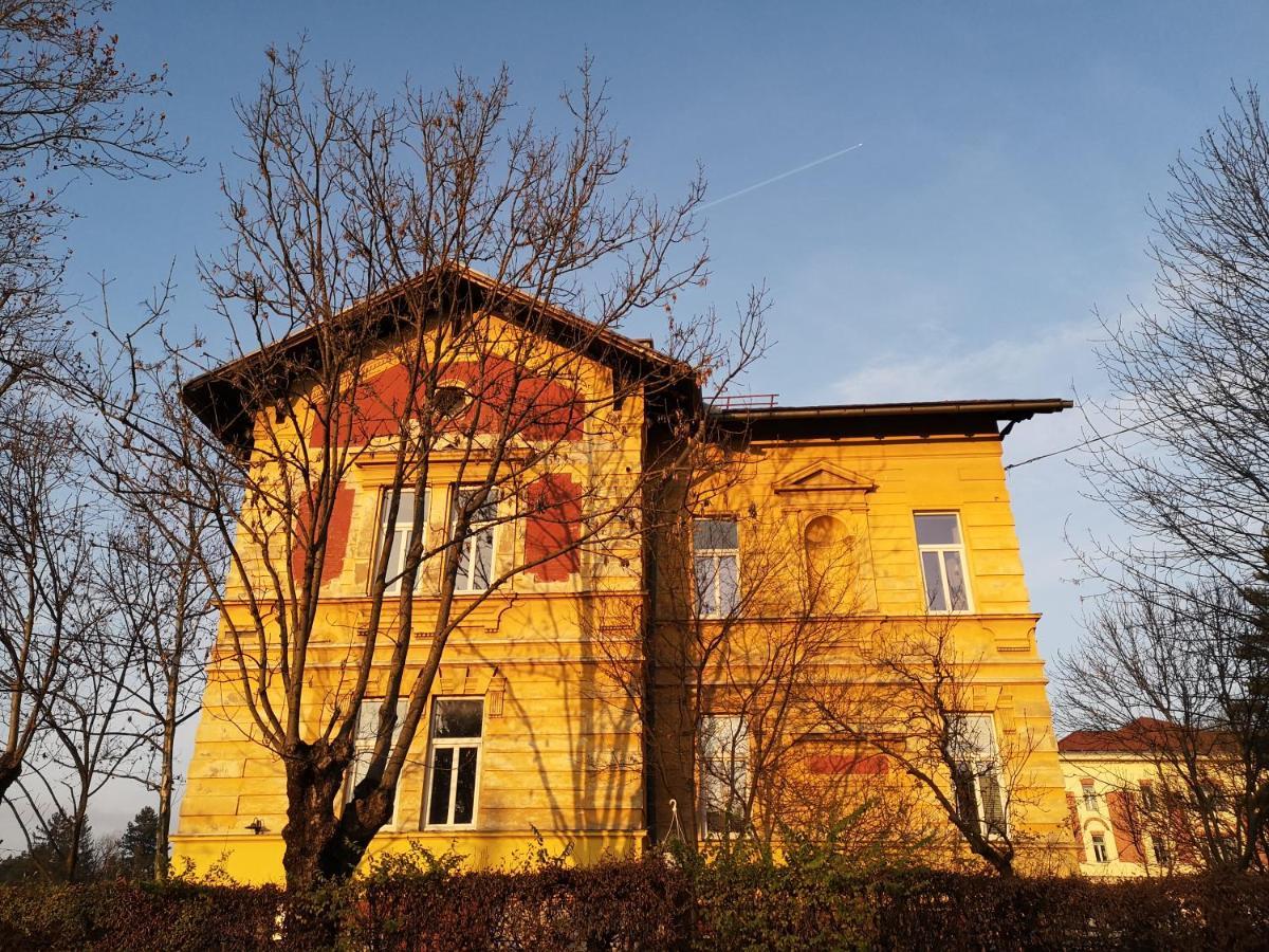 Unique Vila Veselova, Ljubljana City Center Kültér fotó